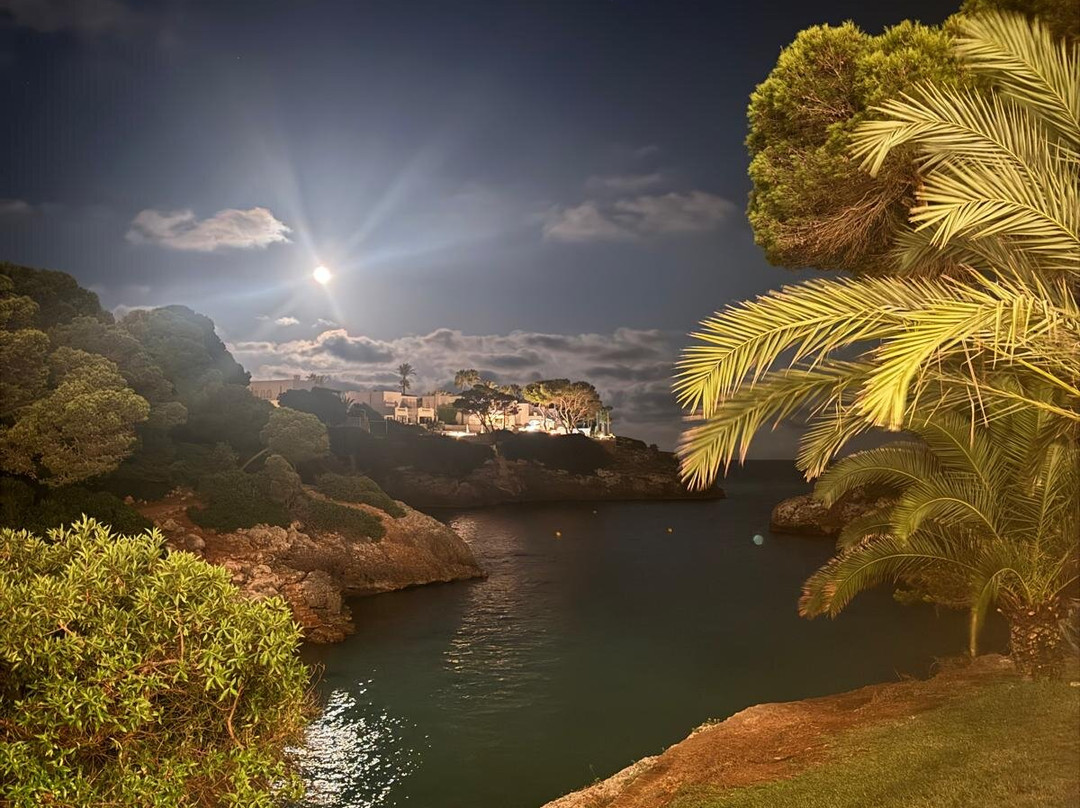 AluaSoul Mallorca Resort - Adults Only主图