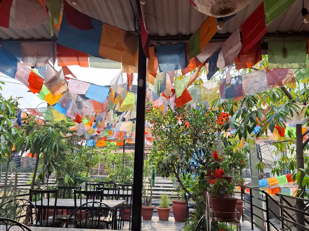 加德满都绿洲住宿加早餐旅馆主图