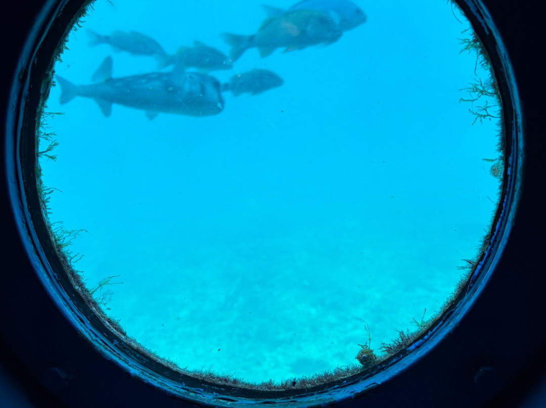 Kushimoto Marine Park Undersea Tower-串本町必去景点