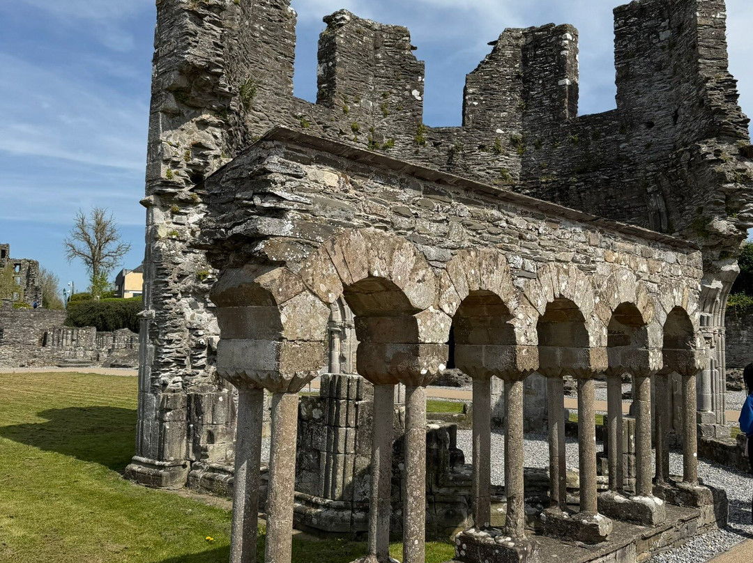 Mellifont Abbey-Drogheda必去景点