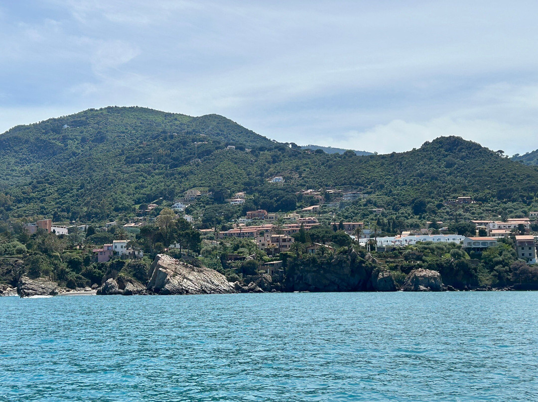 Marina yachting cefalù srl-切法卢必去景点