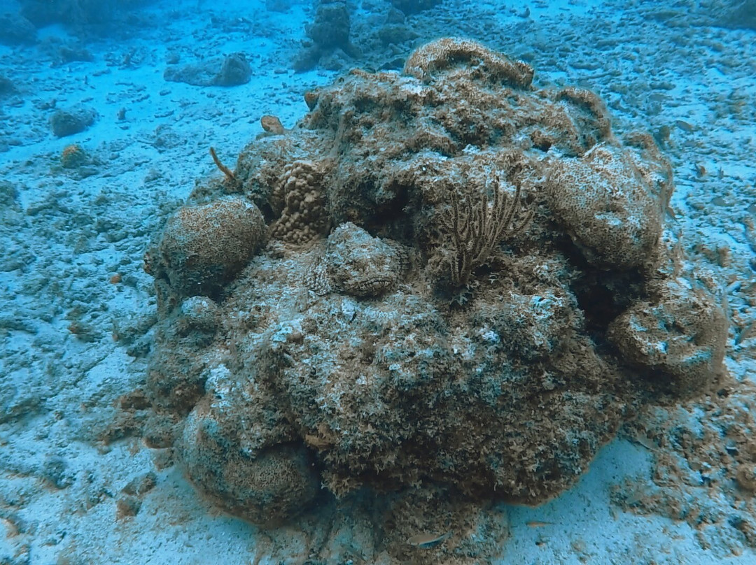 Fundiving Curacao-威廉斯塔德必去景点