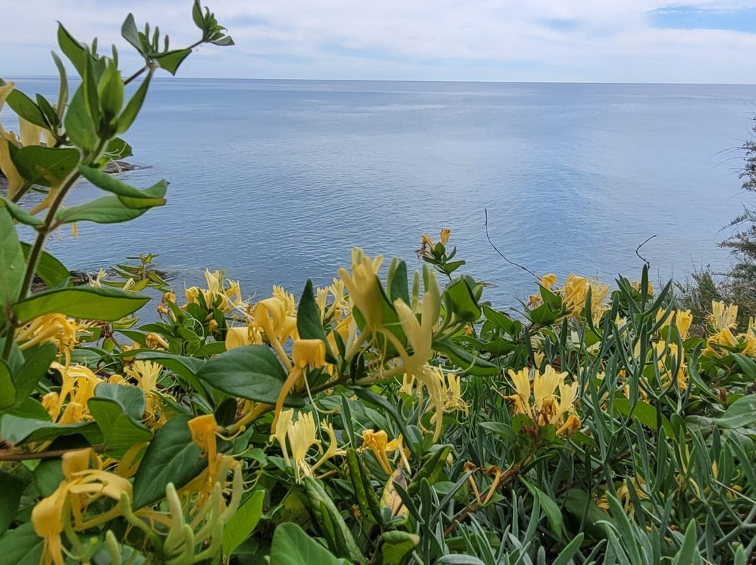 Passeggiata Anita Garibaldi a Nervi-热那亚必去景点
