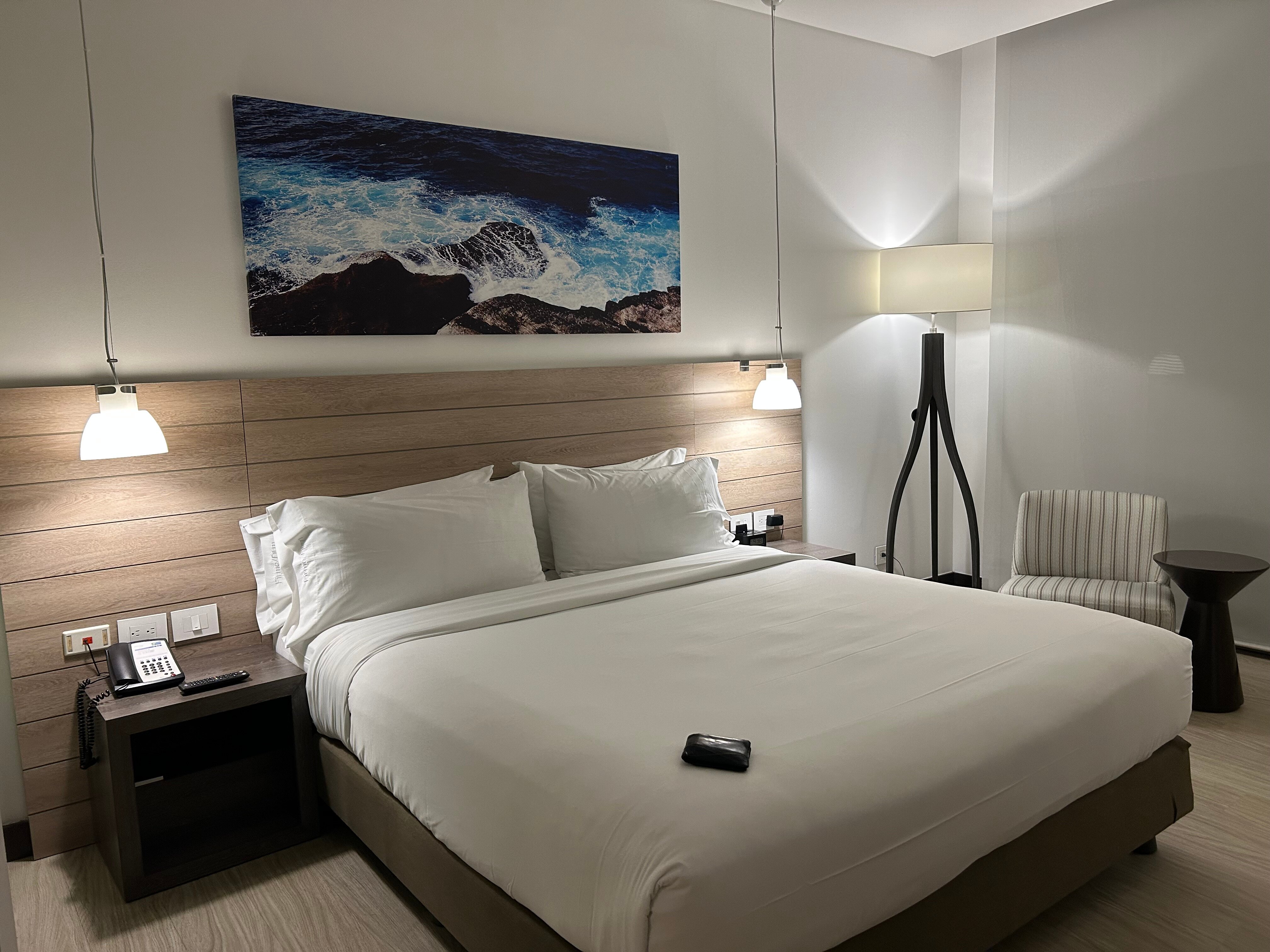 Holiday Inn Express 巴兰基亚-客卧