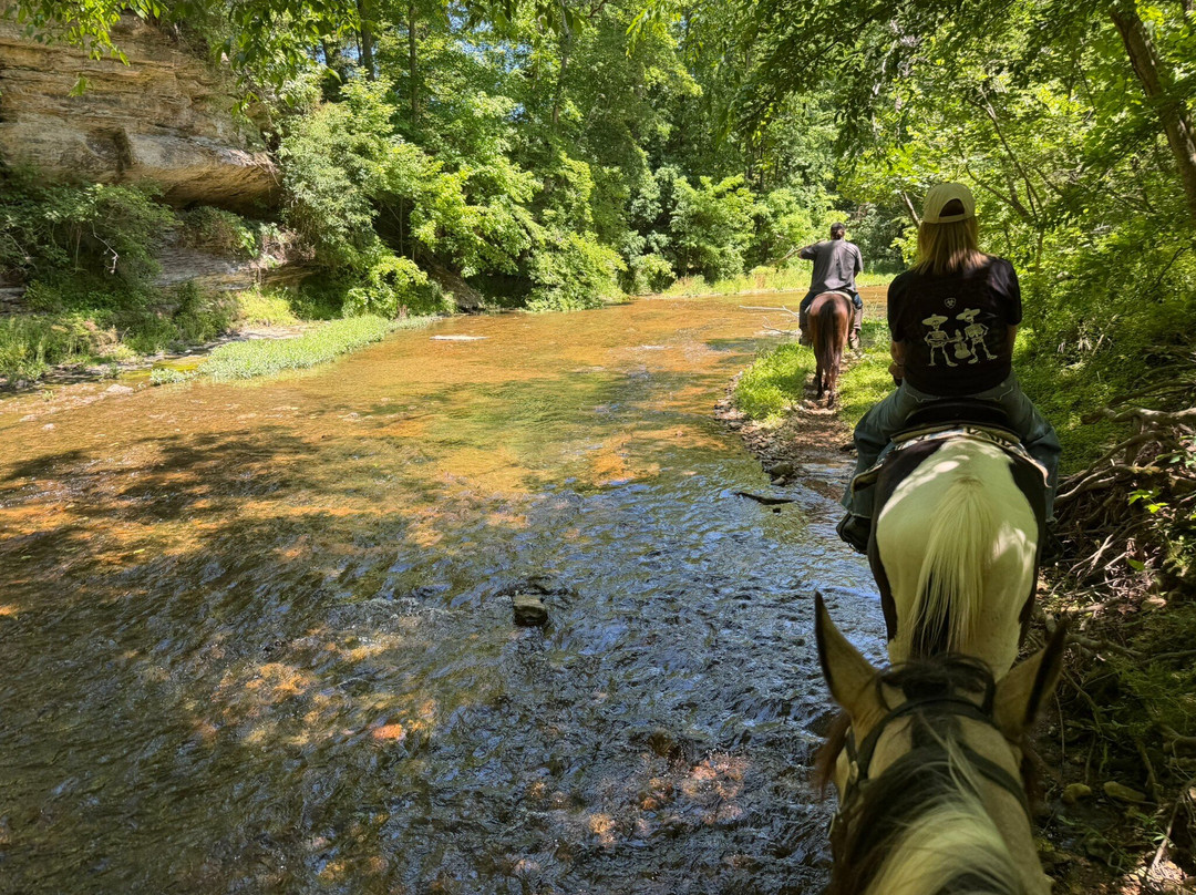 Natchez Trace Stables-Primm Springs必去景点