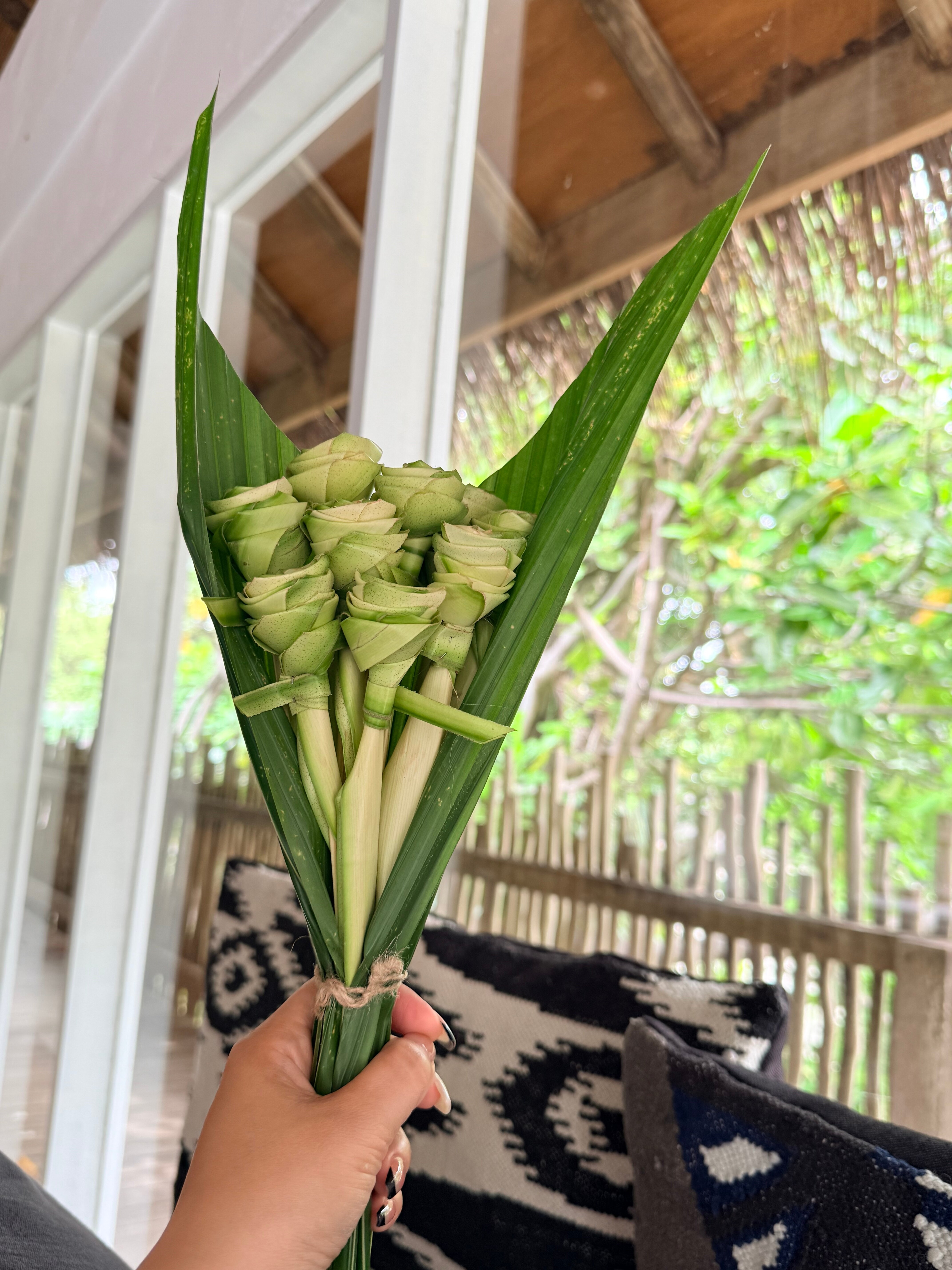 斯茹芬富士私人泻湖度假村-旅行者