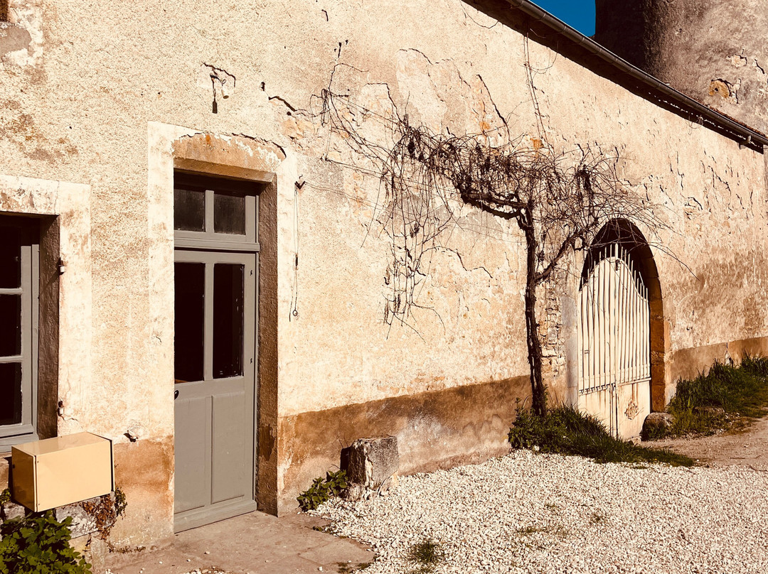 La Sauvage Distillerie De Vezelay-Asquins必去景点