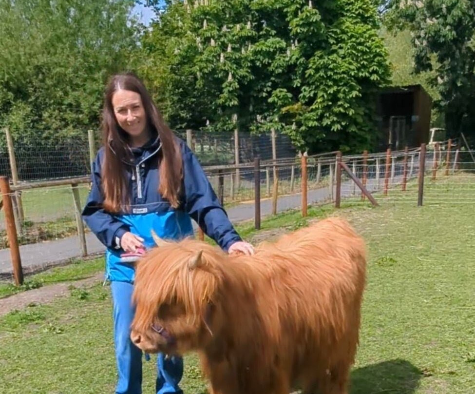 Greenacres Animal Park-Deeside必去景点