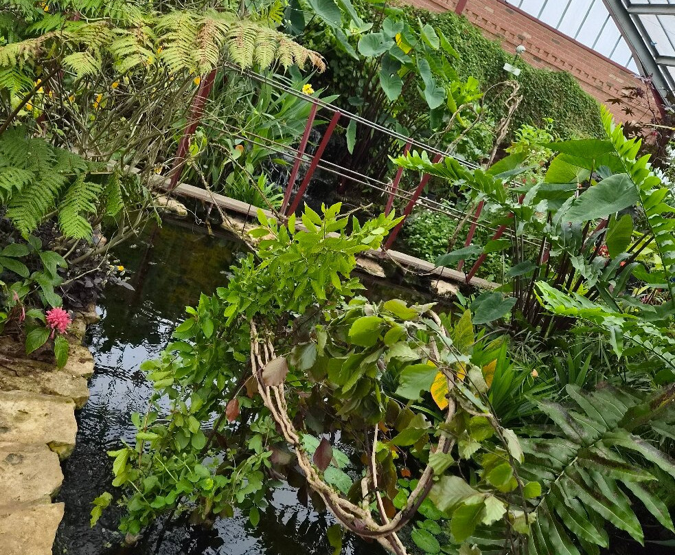 热带蝴蝶馆，野生动物和狩猎中心-谢菲尔德必去景点