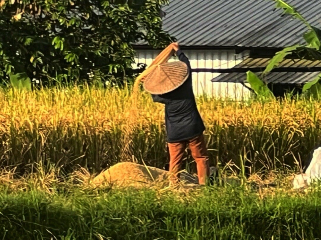 巴厘岛帕迪度假村主图
