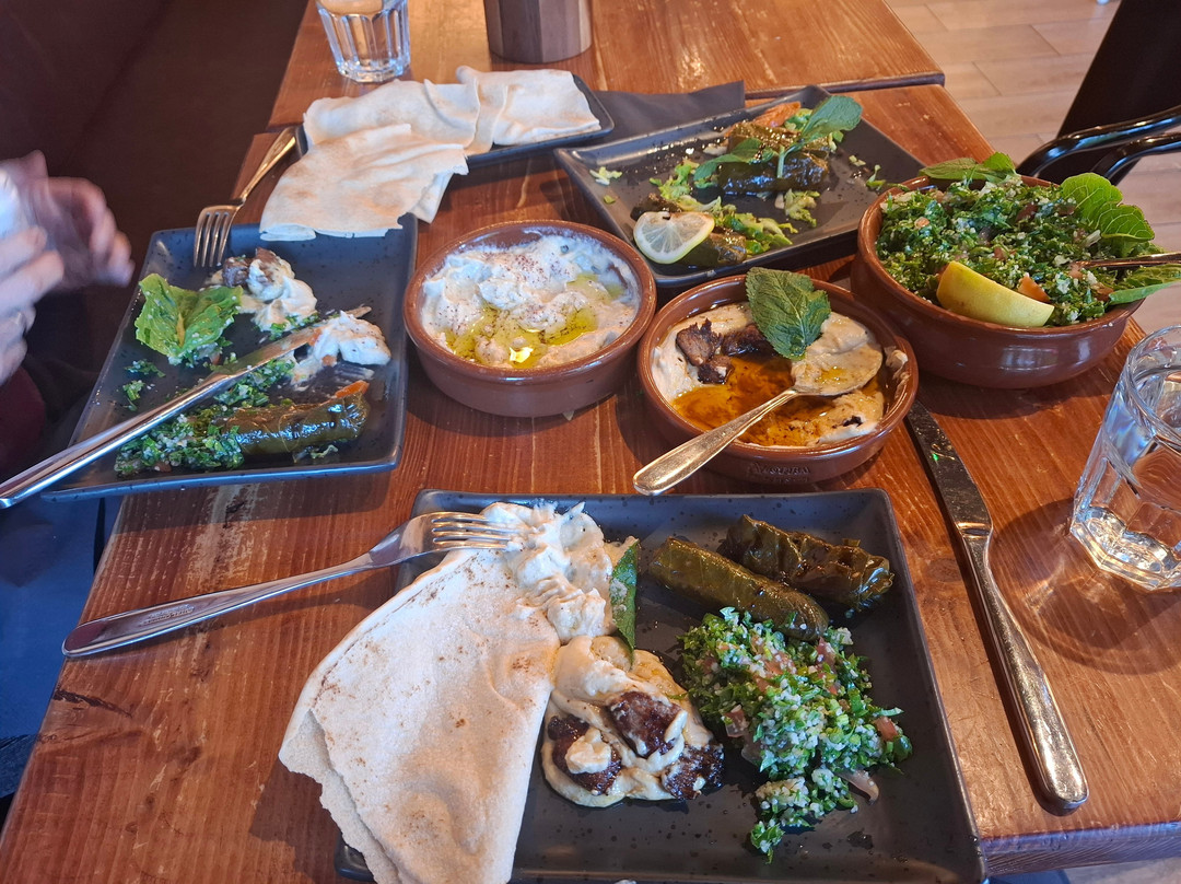 Darmisk Grill