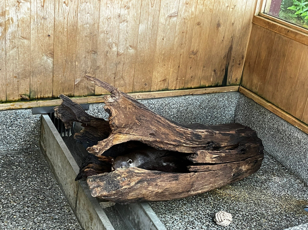 Katurahama Aquarium-高知市必去景点