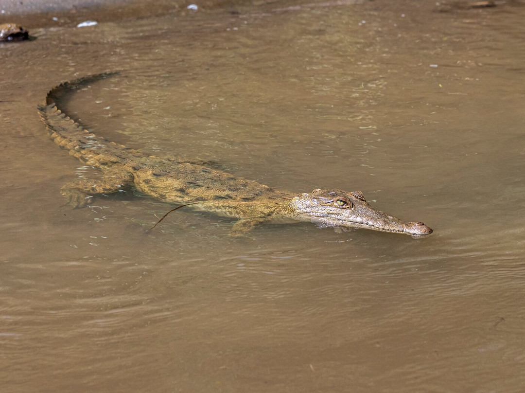 INTERNATURA FRCR-Santo Domingo de Heredia必去景点