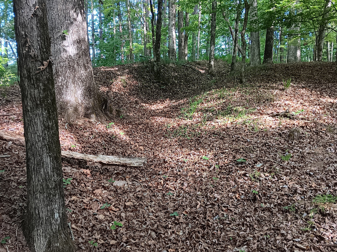 Resaca Battlefield Historic State site-Resaca必去景点