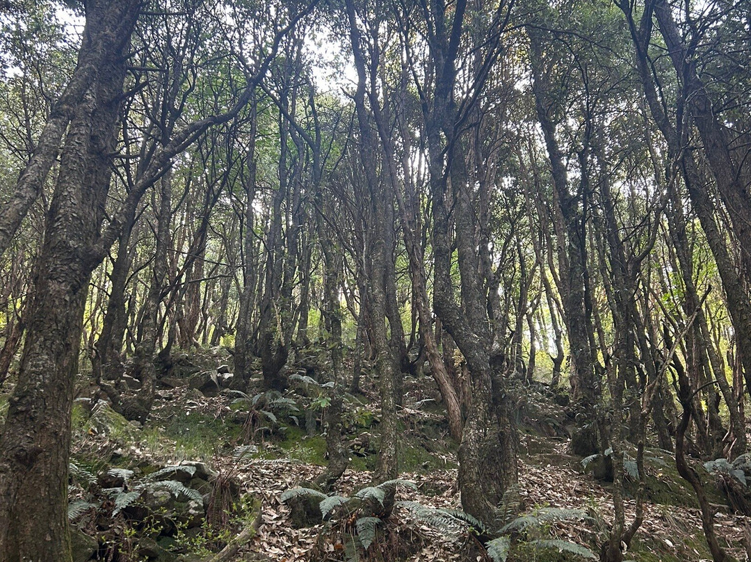 Jabarkhet Nature Reserve-马苏里必去景点