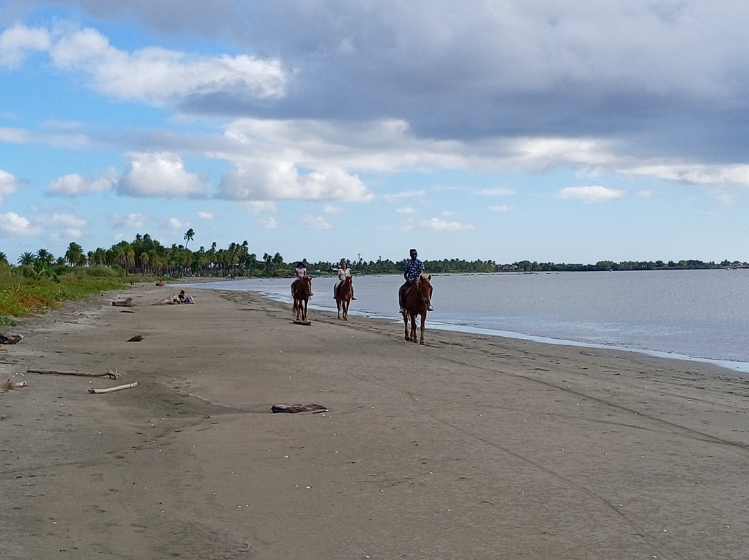 Wailoaloa Beach-纳迪市必去景点