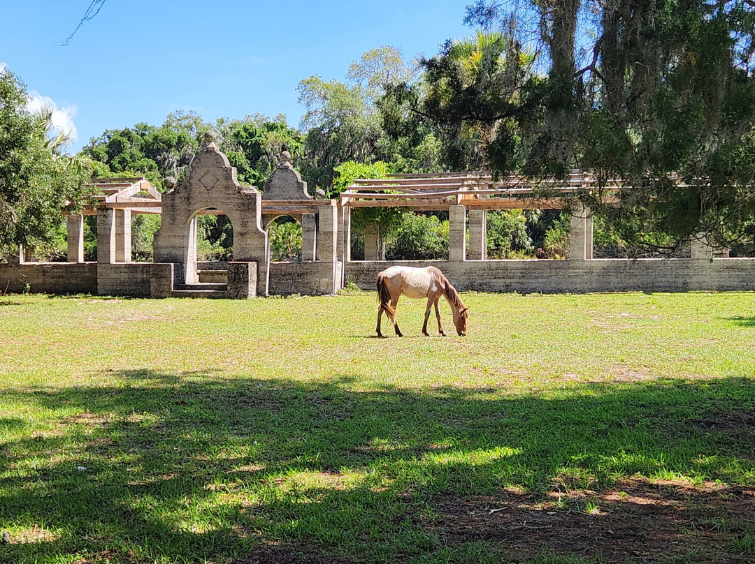 Cumberland Island National Seashore-St. Marys必去景点