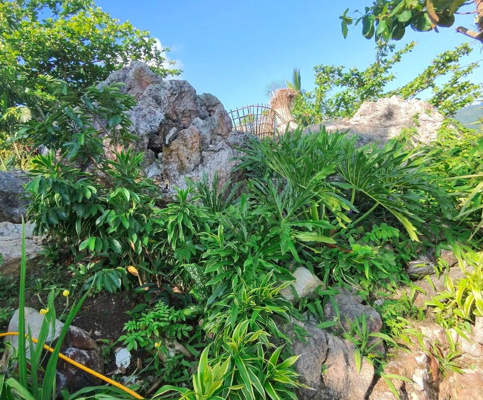 Sirao Pictoral Garden-宿雾市必去景点