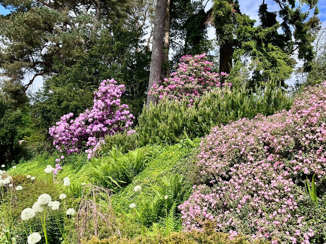 Belsay Hall Castle And Gardens-Belsay必去景点