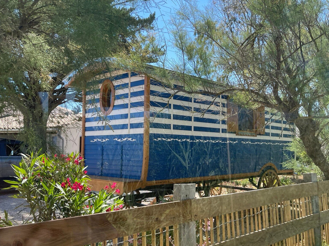 Le Petit Train Camarguais-滨海圣玛丽必去景点
