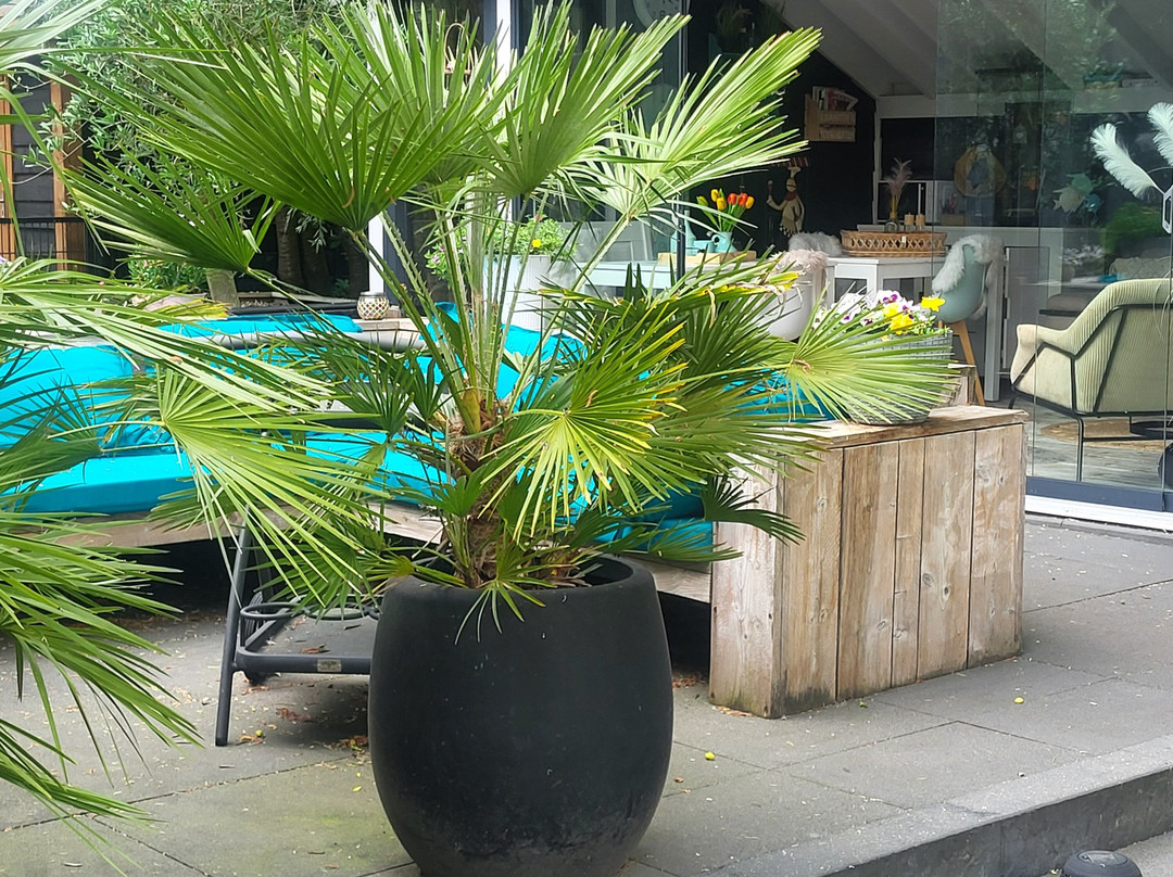 Casa Aan de Plas, B&B Met Sauna en Hottub of Jacuzzi主图