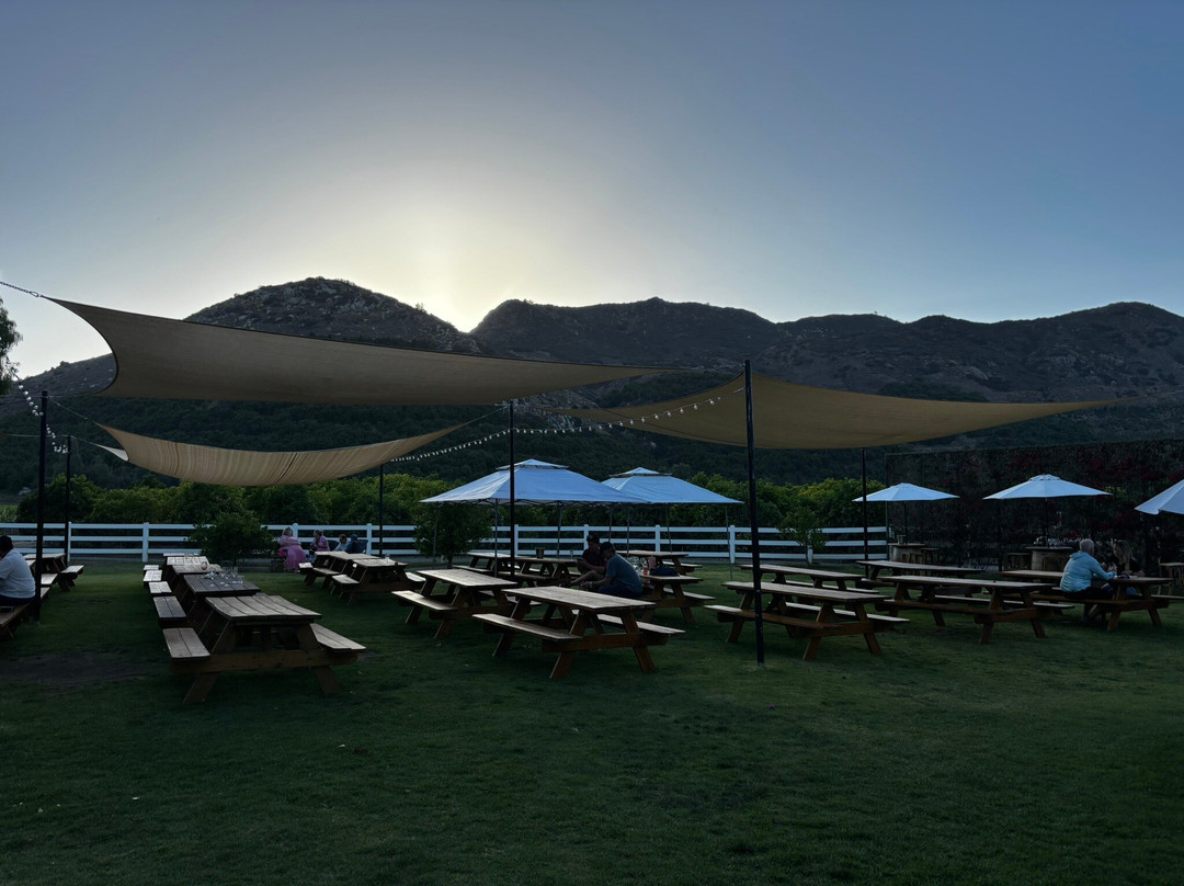 Rancho Guejito Vineyard-埃斯孔迪多必去景点