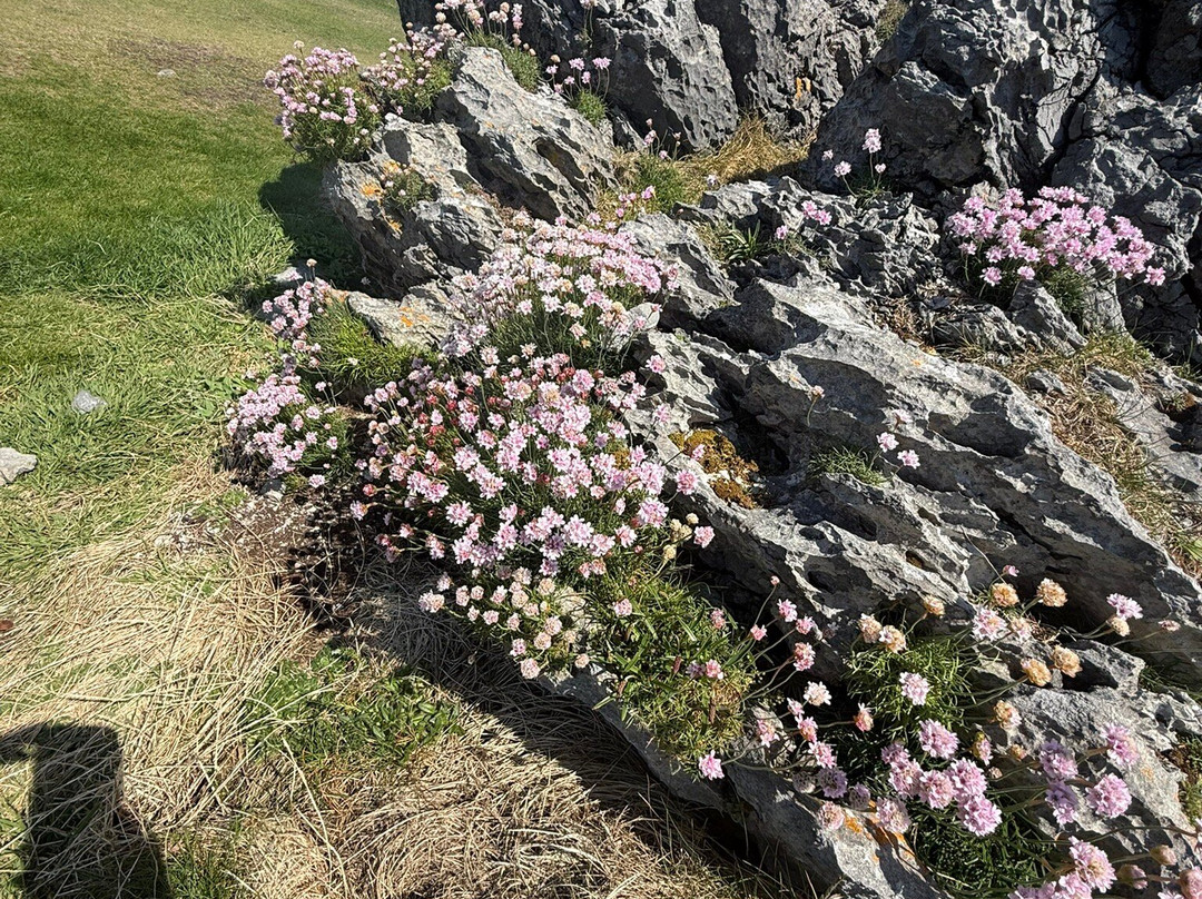 Burren way-Liscannor必去景点