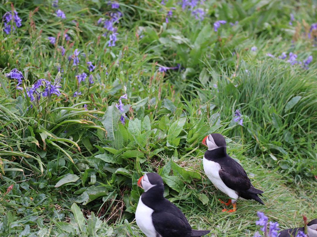 Isle of Lunga-The Hebrides必去景点