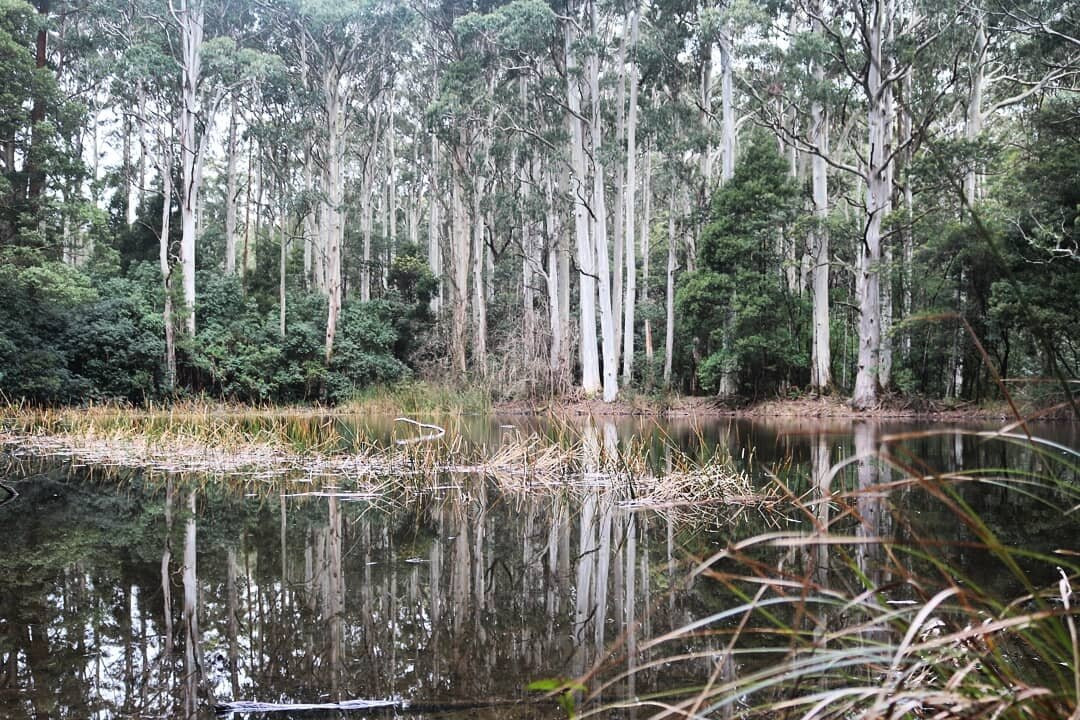 Sanatorium Lake-马其顿山必去景点
