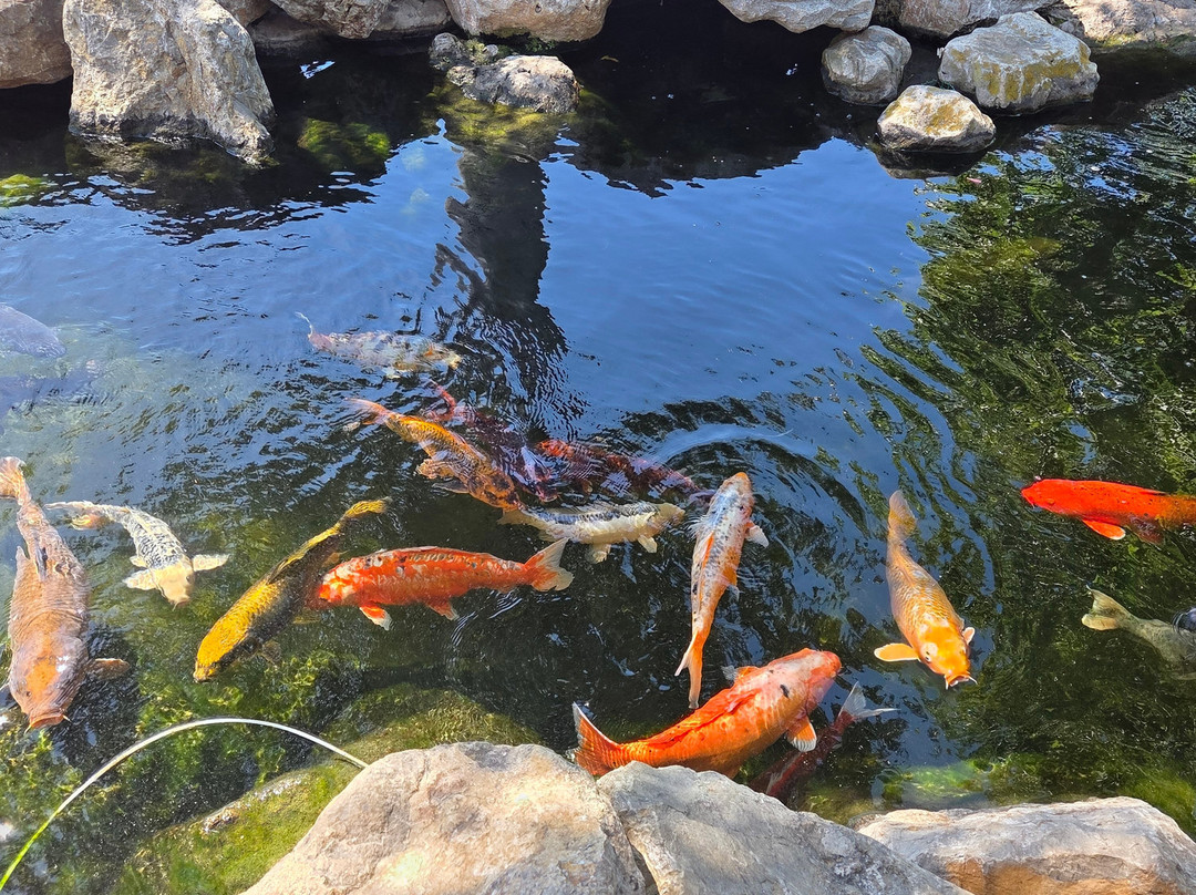 巴尔马水族馆-马洛卡帕尔马必去景点