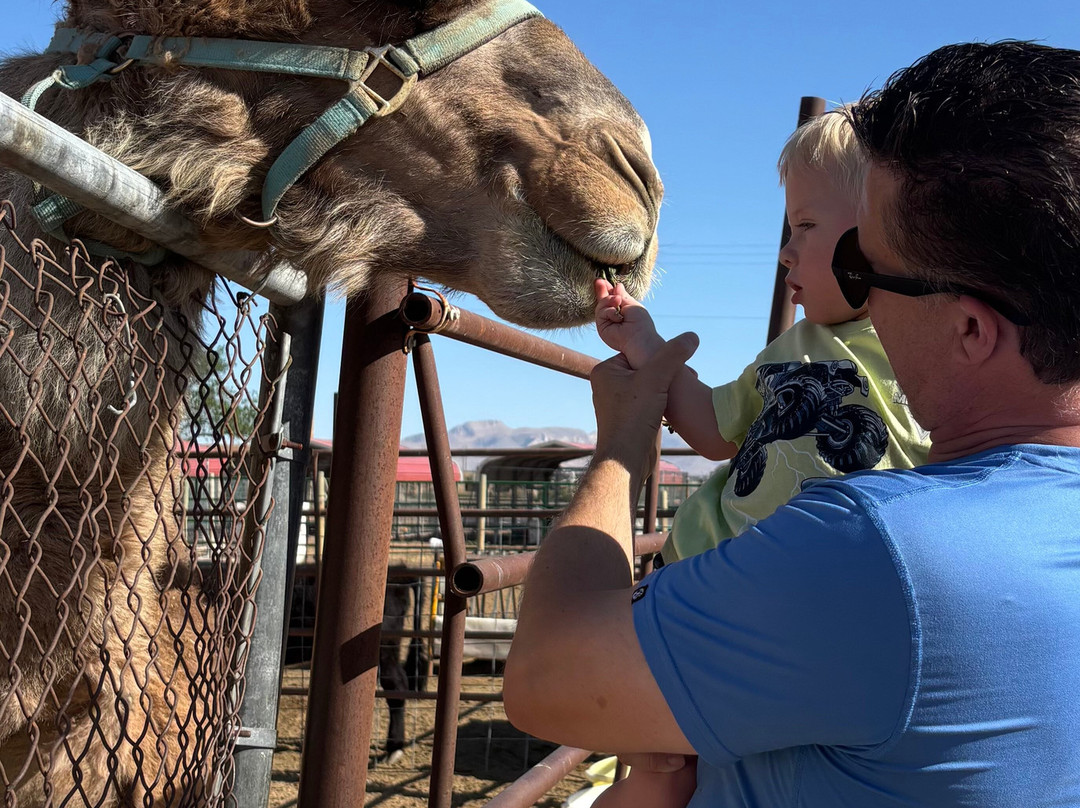 Utah Petting Zoo At Ivie Acres Farm-Grantsville必去景点