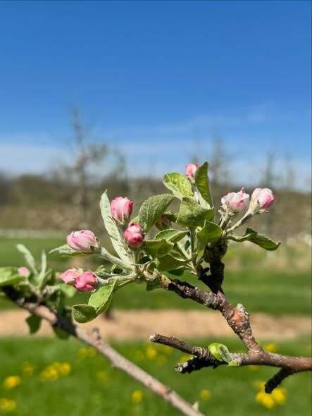 Oakwood Fruit Farm-Richland Center必去景点