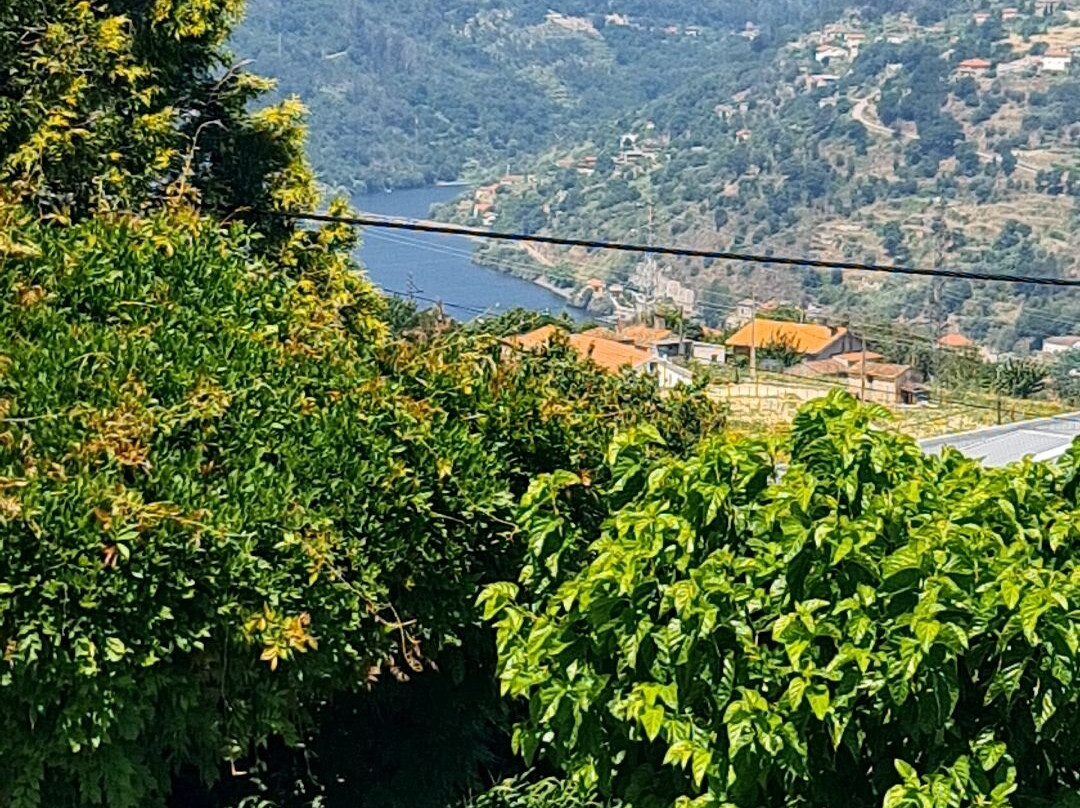 Quinta da Graca- Complexo Turistico主图