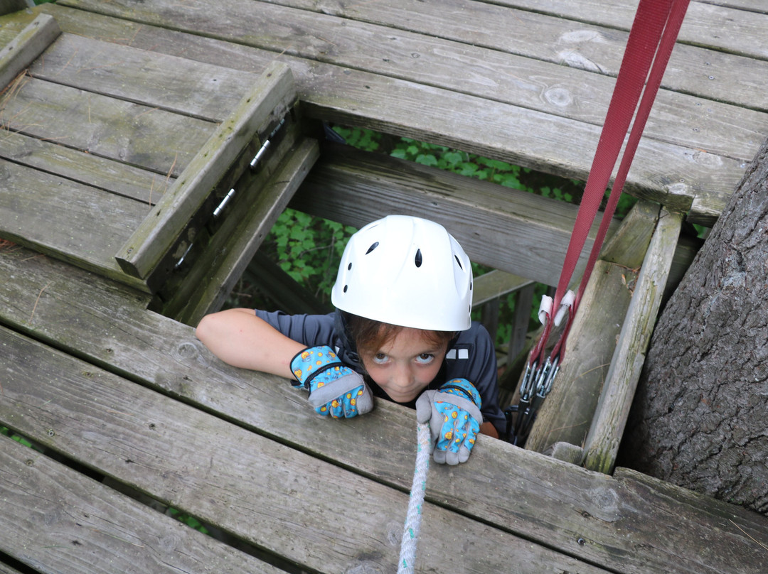 Northwoods Zip Line Adventure Tours-Minocqua必去景点