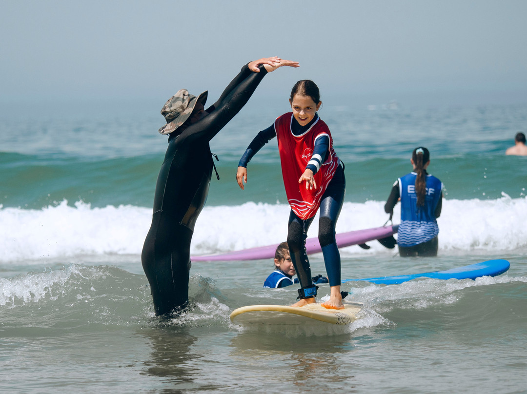 Darrigood Surf School / ESCF Hossegor-奥瑟格尔必去景点