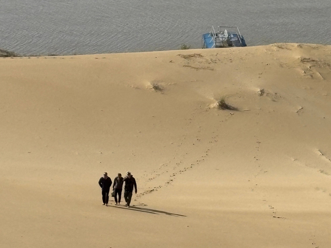 Addo Cruises & Sand Sledding-Colchester必去景点