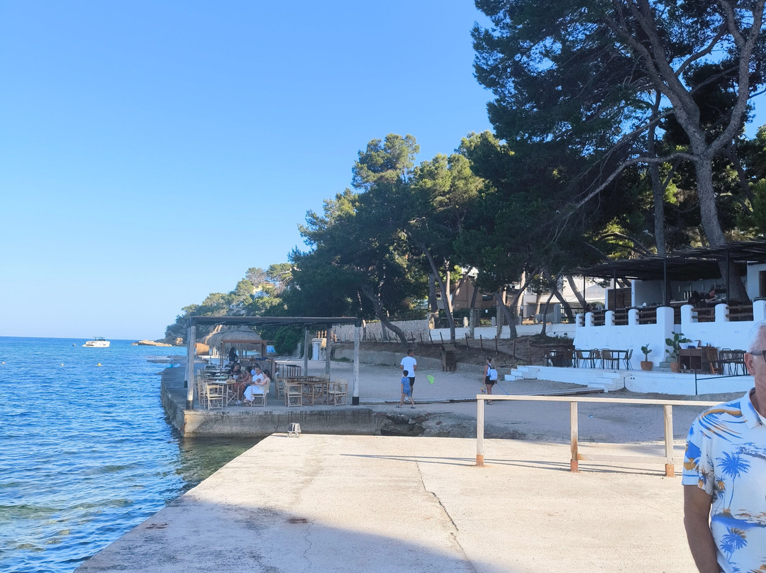 Alua Calvia Mallorca主图