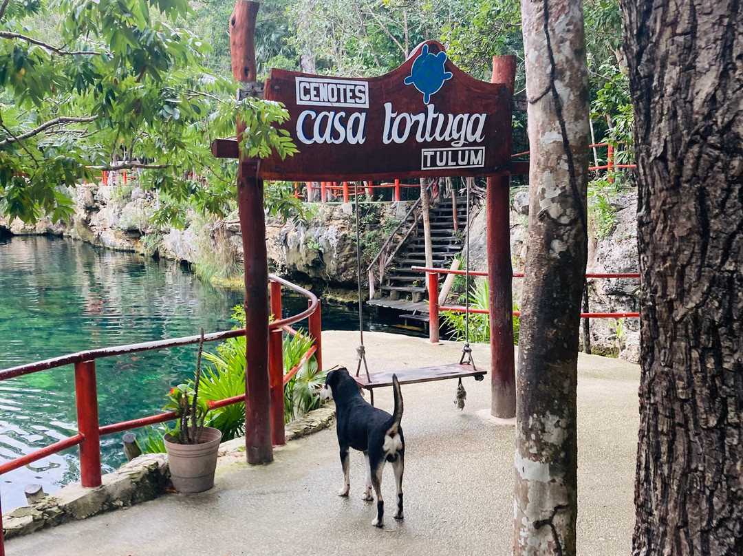 Cenotes Casa Tortuga-图伦必去景点