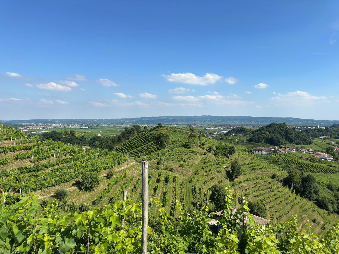 Col del lupo - Produzione e Degustazione Valdobbiadene Prosecco DOCG-Vidor必去景点