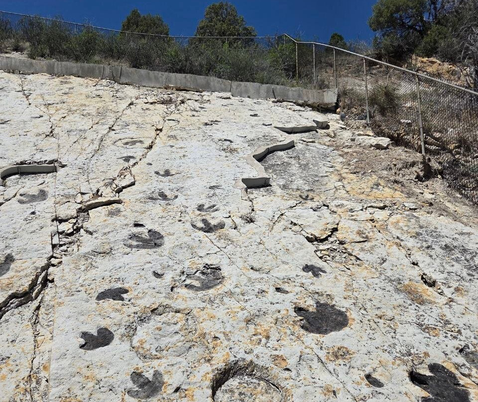 Dinosaur Ridge-Morrison必去景点