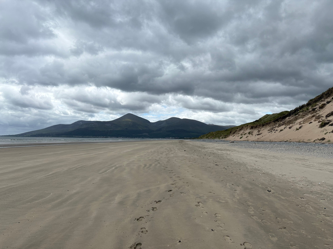 Murlough National Nature Reserve-纽卡斯尔必去景点