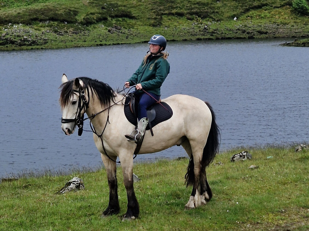 Bespoke Equestrian Ireland-都柏林必去景点