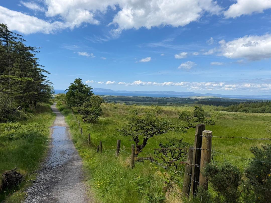Benbulben Forest Walk-Drumcliff必去景点