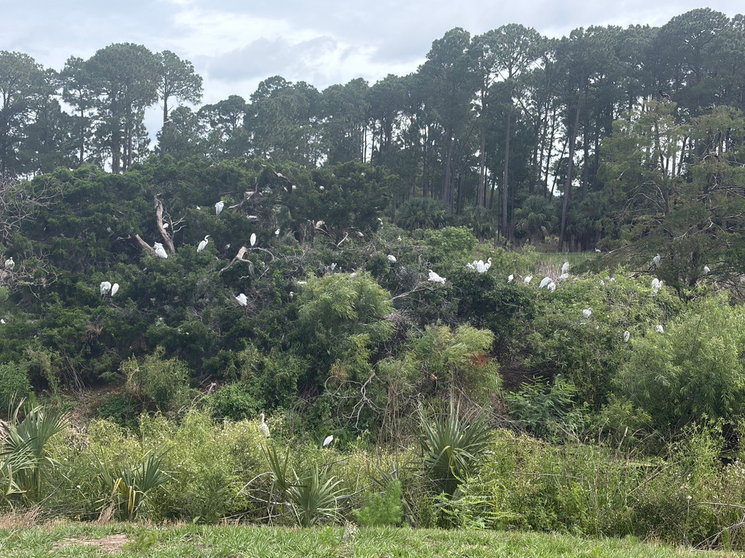 Pinckney Island National Wildlife Refuge-希尔顿头岛必去景点