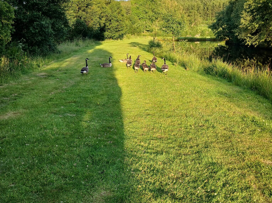 Llandegla Fishery-Llandegla必去景点
