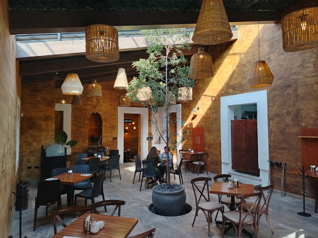 Café Tres Gallos Cholula