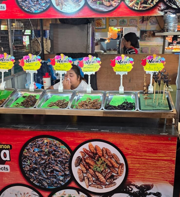 Krabi Night Market-Pak Nam必去景点