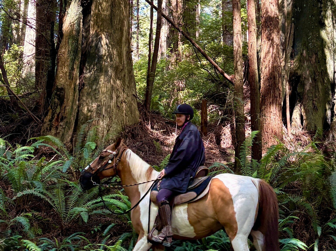 Crescent Trail Rides-克雷森特城必去景点