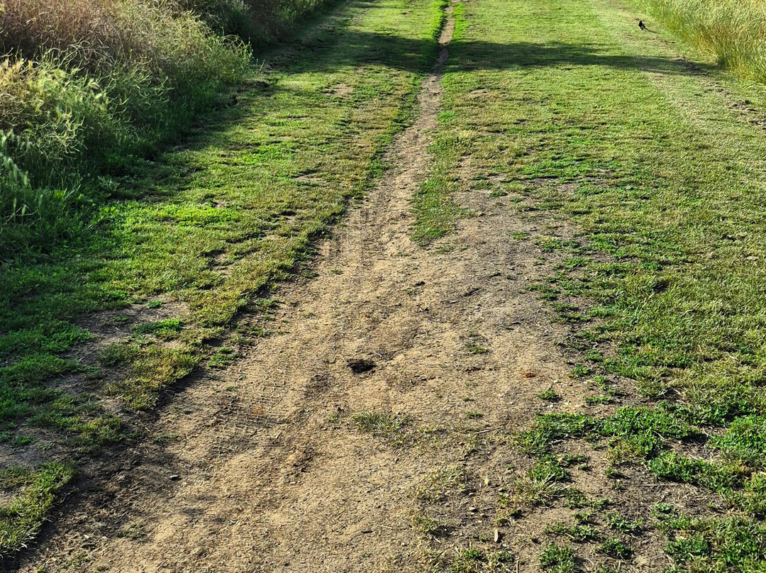 Hadleigh Castle-Hadleigh必去景点