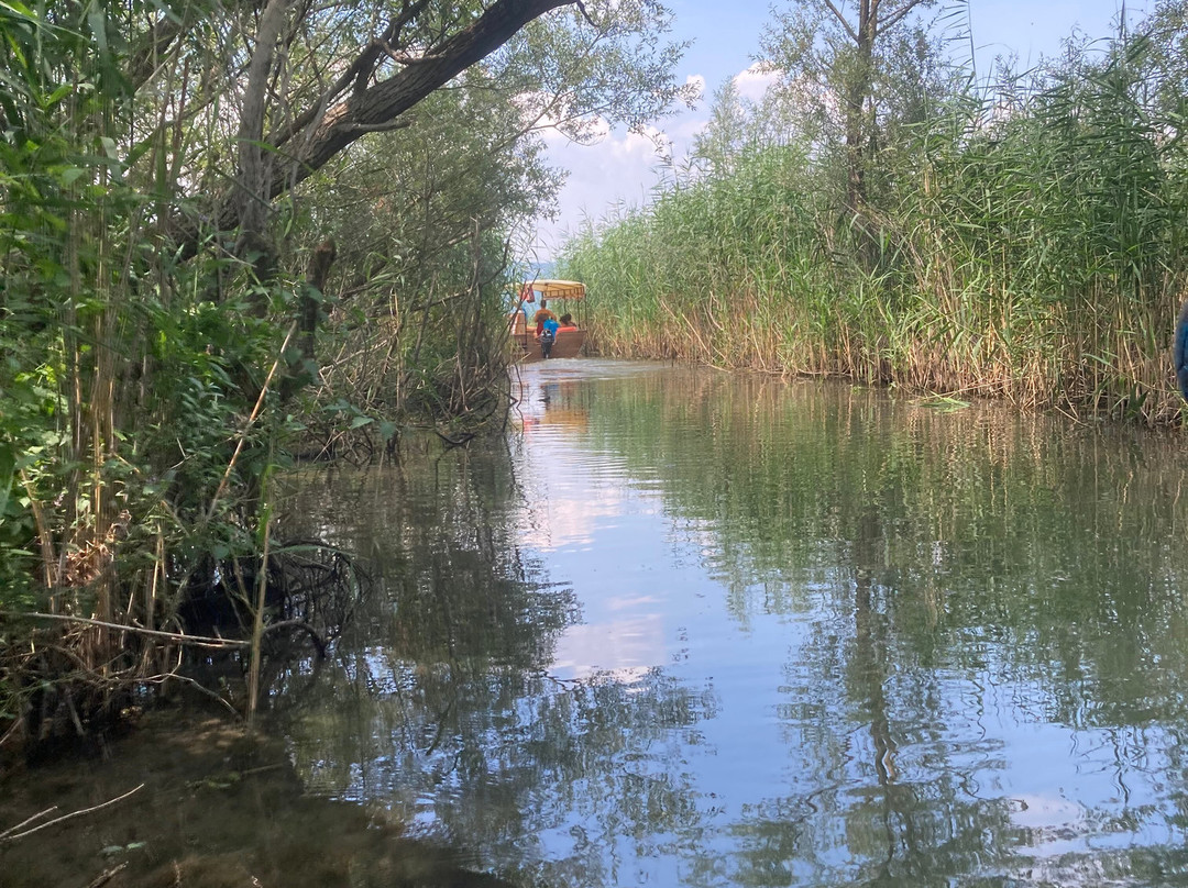 Monte Frog Boat Cruise-维尔巴札拉必去景点